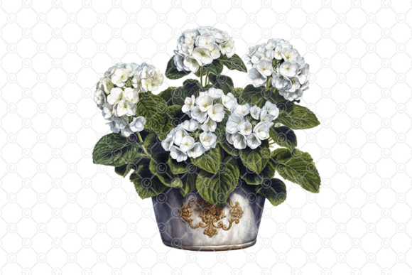 Download Flower PNG, White Hydrangea PNG, 017 - White Collection